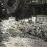 alluvione 1955 malopasso_01